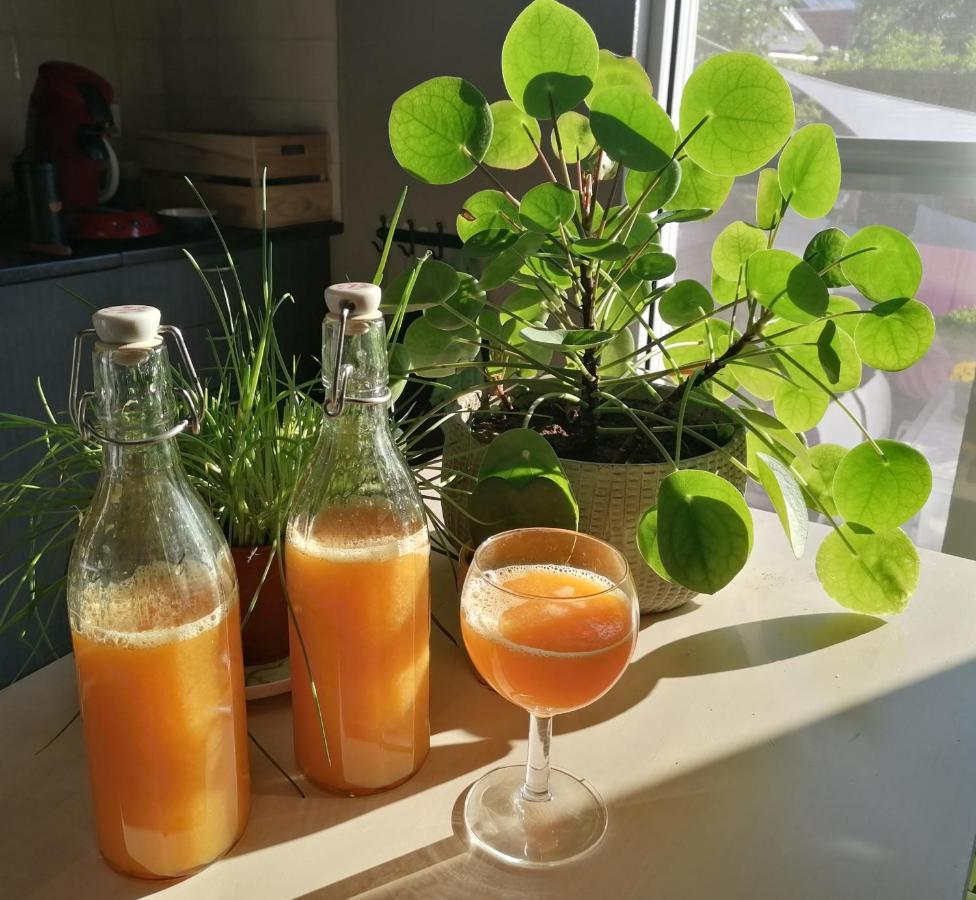 Sea-Me 奥斯滕德 外观 照片